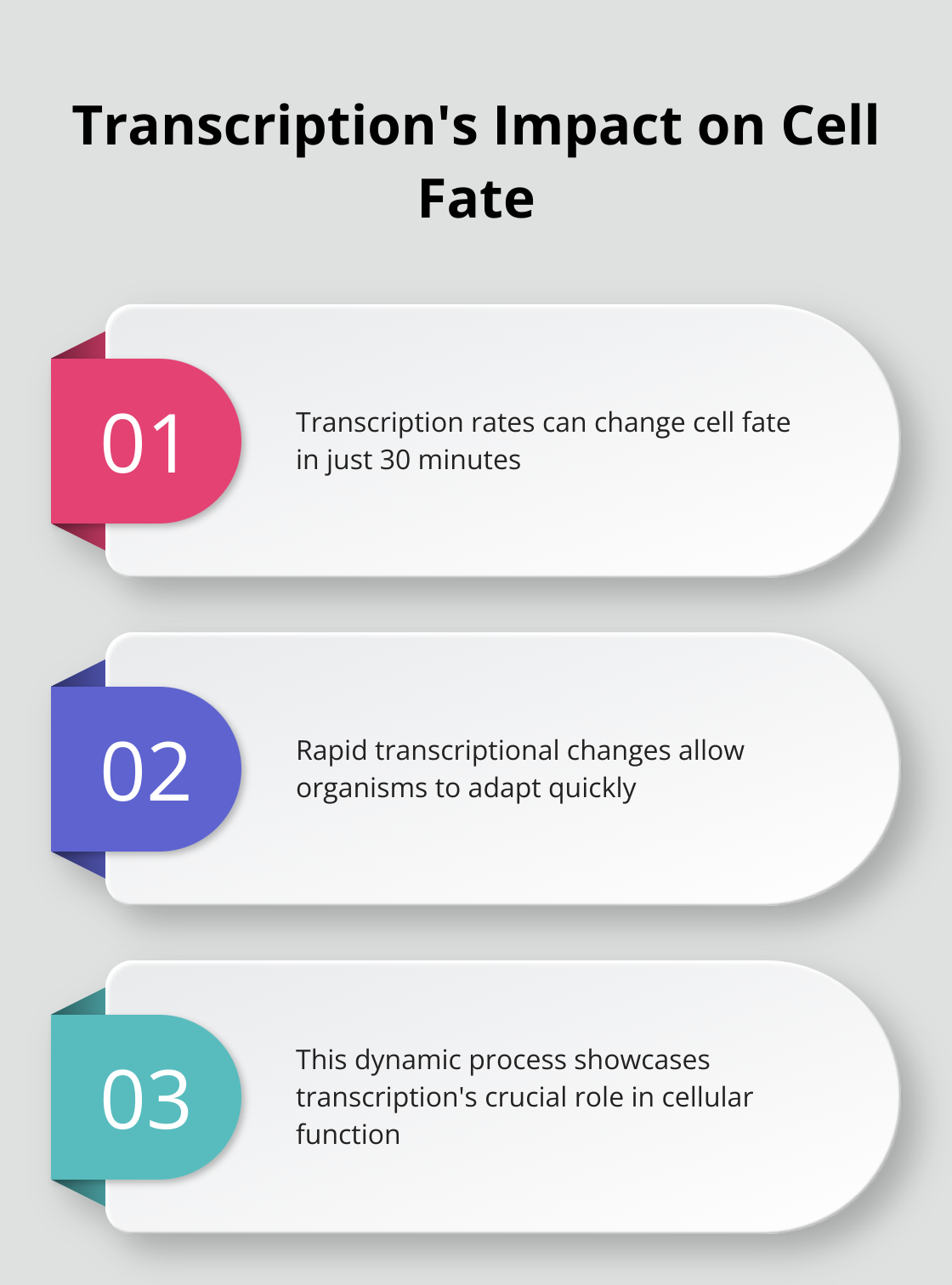 Chart highlighting the rapid impact of transcription rates on cell fate decisions