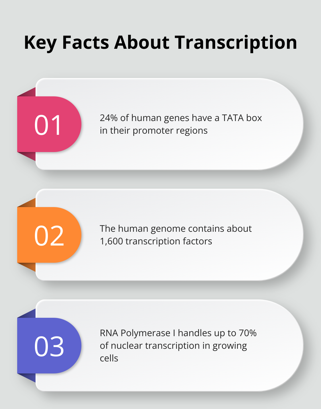 Ordered list chart highlighting three key facts about transcription factors and RNA polymerases - process of transcription biology