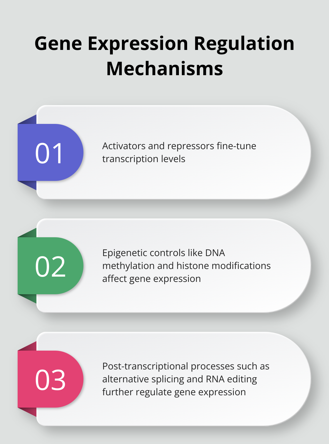 Ordered list chart summarizing three main mechanisms of gene expression regulation