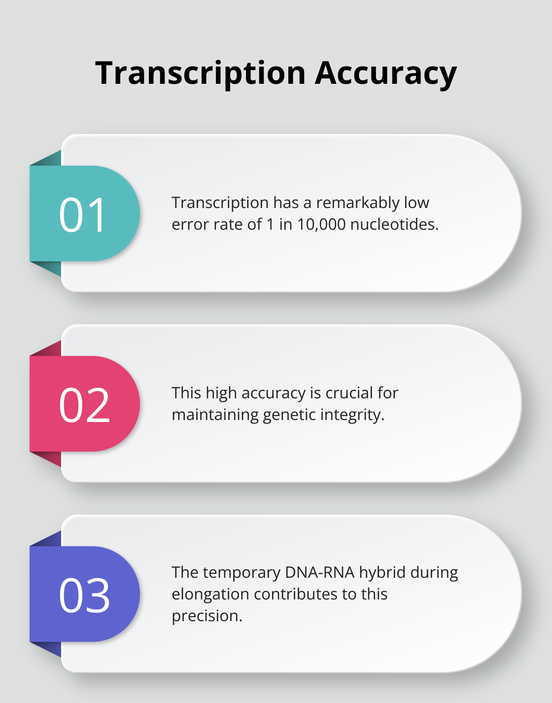 Chart showing the high accuracy of transcription with an error rate of 1 in 10,000 nucleotides - process of transcription