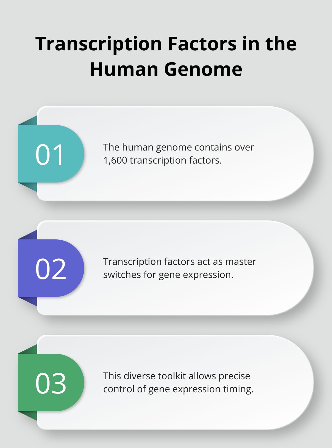 Chart highlighting the presence of over 1,600 transcription factors in the human genome - process of transcription